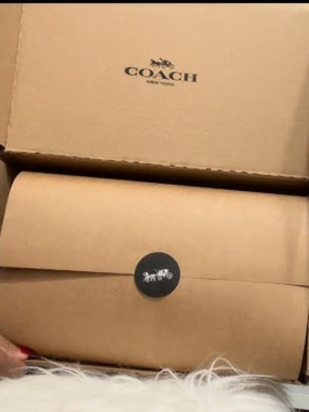 Coach BRAND NEW x Disney X Coach Pluto Collectible Bag Charm CDL75 - NWT - - Picture 9 of 9